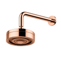 Ducha Auto-Limpante Standard Plus - Rose Gold